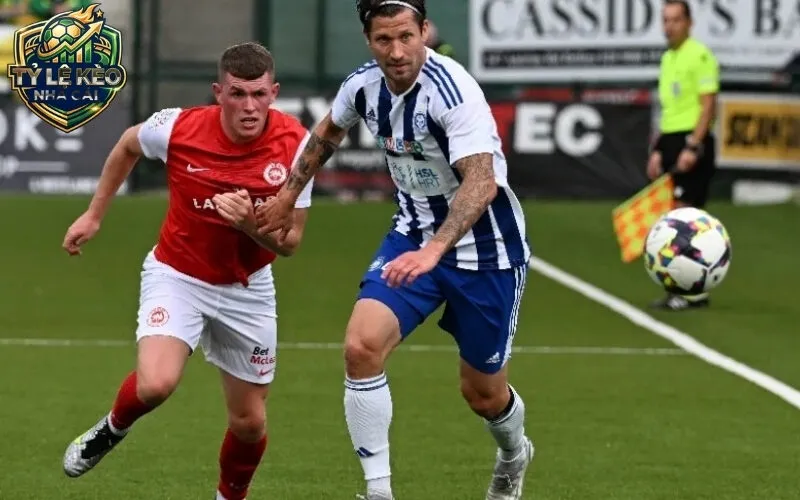 Các loại tỷ lệ kèo nhà cái phổ biến nhất hiện nay